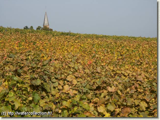 Diapositive suivante